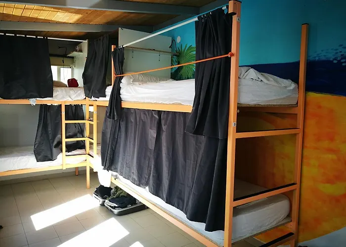 Pura Vida Palmas (adults Only) *