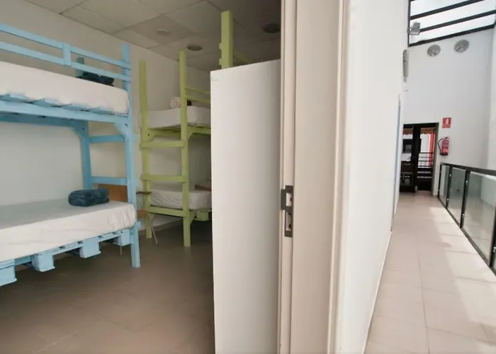 Auberge de jeunesse Pura Vida Palmas (adults Only) *