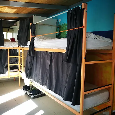 Pura Vida Palmas (adults Only) *